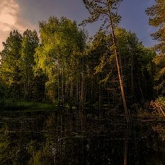 фото "Нижний Тагил"