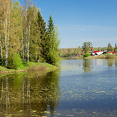 фото "Яркое начало лета"