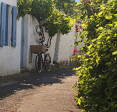 photo "vendée"