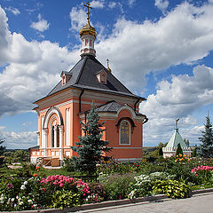 фото "среди цветов"