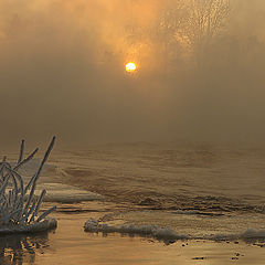 фото "Река Выг -30"