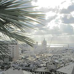 фото "roofs of Genoa"