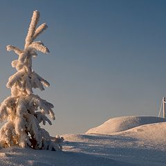 photo "Lonely"