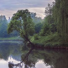 фото "Свет мой зеркальце, скажи..."