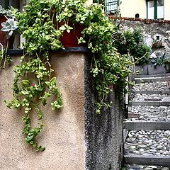 фото "lane in Boccadasse, Genoa"