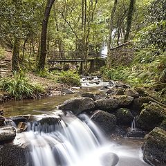 photo "Cascata"