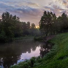 photo "After a night of rain ..."