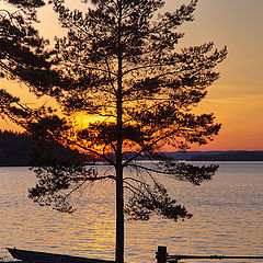 photo "Karelia, sunset"