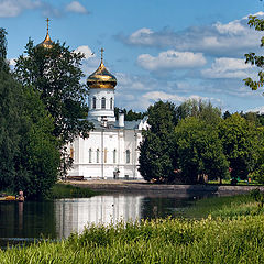 фото "Купола и птица"