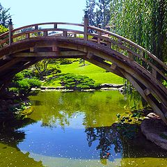 photo "Wood bridge"