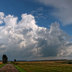 фото "Август"