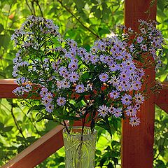 photo "Dacha bouquet"