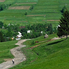 фото "У села"