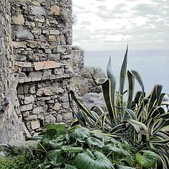 photo "a corner beside the sea"