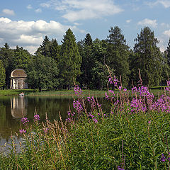 фото "Зарисовки Гатчинского парка (2)"