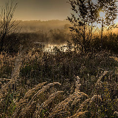 фото "Рассвет"