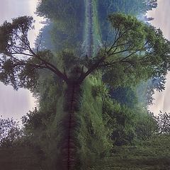 photo "About parallel worlds ..."