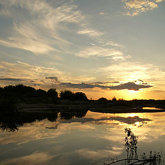 photo "landscape with a bird"