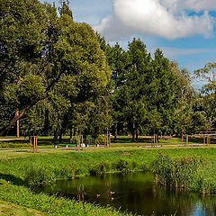 фото "В парке..."