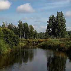 фото "Утро на речушке...родные просторы"