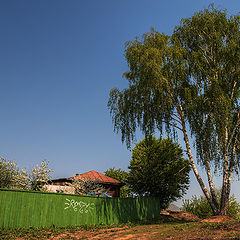 фото "Есть улицы центральные..."