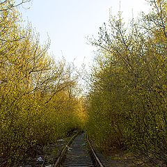 фото "Ваш паровоз "вперёд летит"?..."