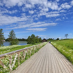 photo "way among the flowers"