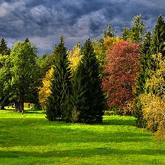 фото "краски осени"