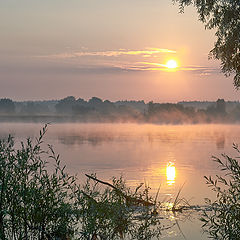 фото "Утро"