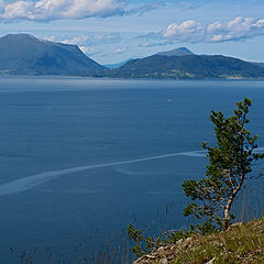 photo "Study in blue tones"