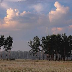 фото "Августовское утро...родные пенаты))"