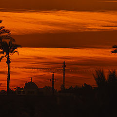 photo "Rural Sunset"