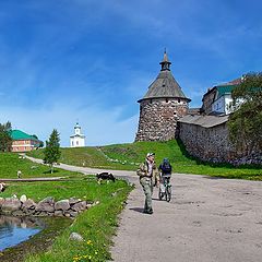 photo "the island of Solovki"