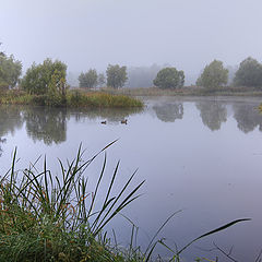 photo "last day of summer"