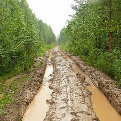 фото "автобан, скорость не ограничена"