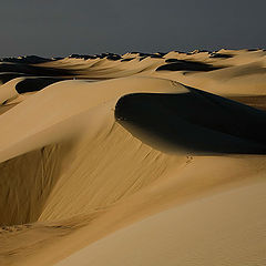 фото "Dunes 22"
