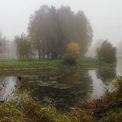 photo "Autumn morning old park ..."