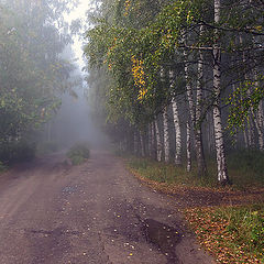 фото "Осень туманная"