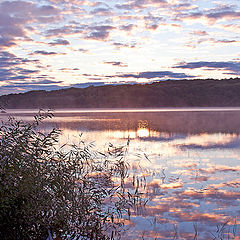 фото "На заре"