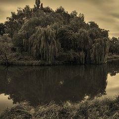 photo "Autumn mood of the city park ..."