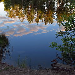 фото "у воды"