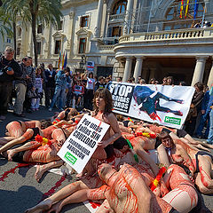 photo "Stop corrida de toros"