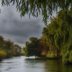 photo "Autumn rain..."