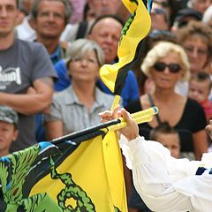 photo "historical procession, flags"