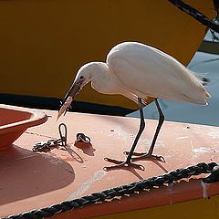 фотоальбом "Море-море"