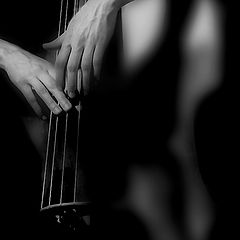 photo "Solo for contrabass..."