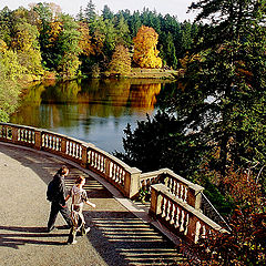 photo "Autumn is here again"