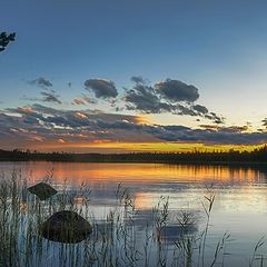 photo "Weave over the lake ..."