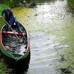 photo "Help, I'm drowning!!"