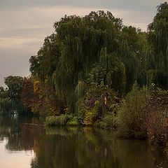 photo "Autumn evening ..."